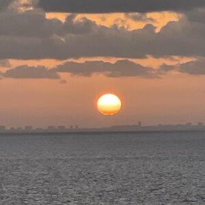 Meet your Posher, Angelica